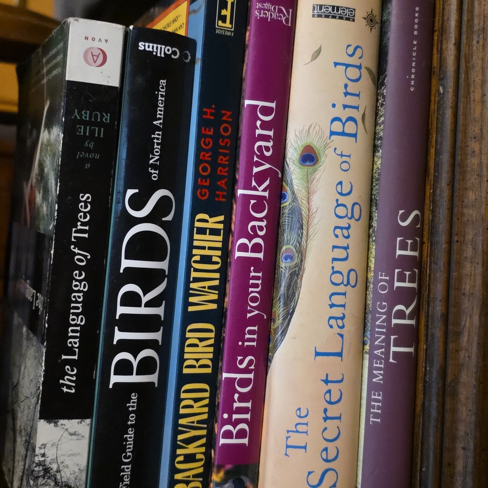 Bird Watching and Nature Guide Books
